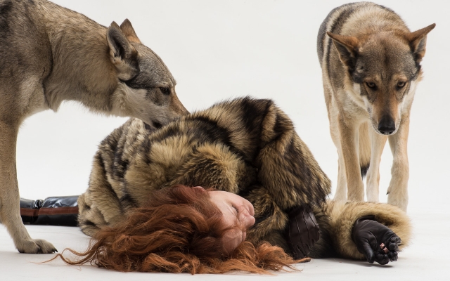 GOLDEN NICA, Ars Electronica festival’s prize for Maja Smrekar