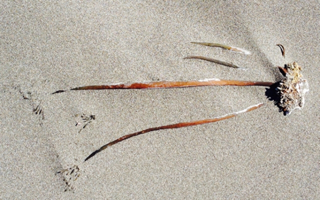 Open call : rencontres 2016